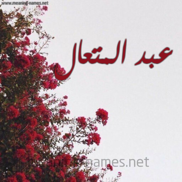 شكل 18 صوره الورد الأحمر للإسم بخط رقعة صورة اسم عبد المتعال ABD-ALMTAAL